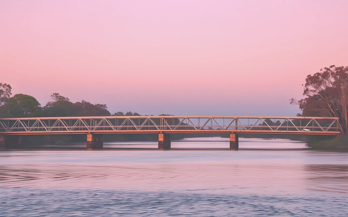 Murray River bridge at Albury with river red gums