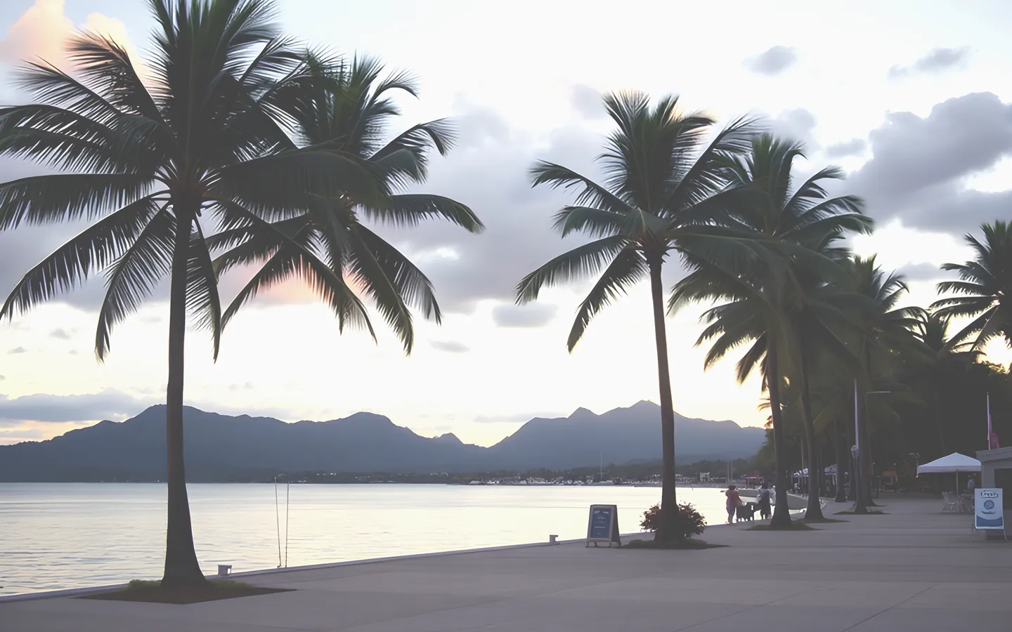 Cairns esplanade with palm trees and tropical mountains