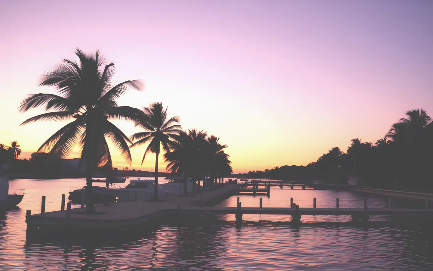 Darwin waterfront at sunset with tropical palms